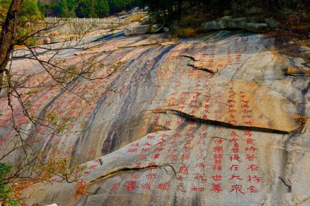 沙漠前行
