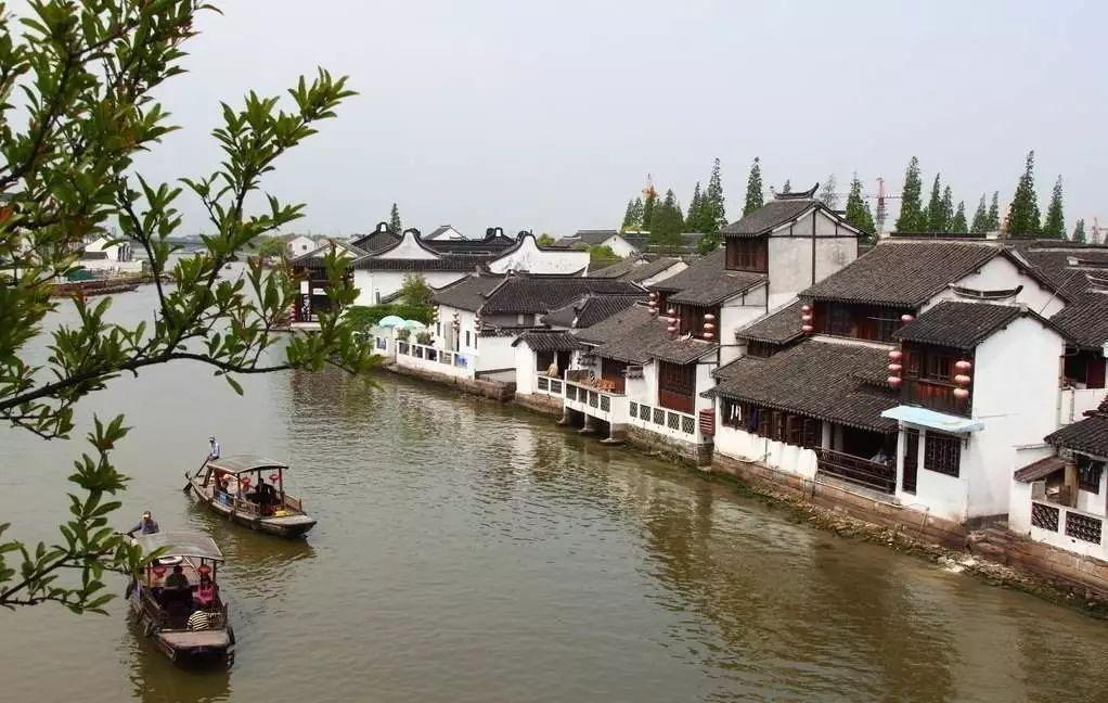 传播影响力Max!天彭牡丹花会上榜全国“百强”